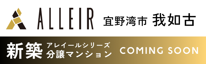 アレイール画像