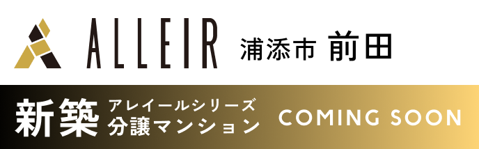 アレイール画像